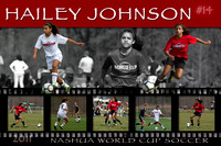 Hailey Johnson Poster Project - 2011